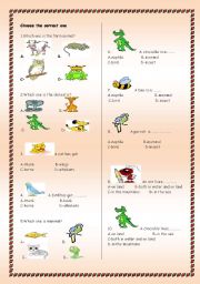English Worksheet: Animal quiz