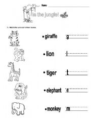 English Worksheet: In the jungle