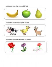 English worksheet: before, between and after