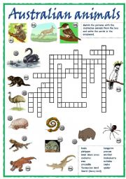 English Worksheet: Australian animals crossword