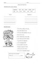 English Worksheet: nouns