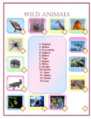 English Worksheet: wild animals