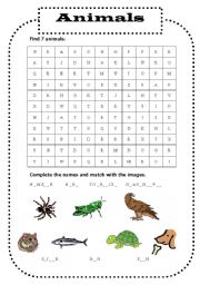 English worksheet: animals