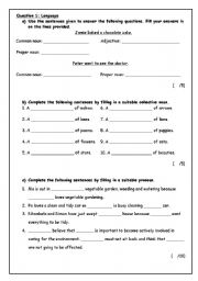 English Worksheet: Nouns