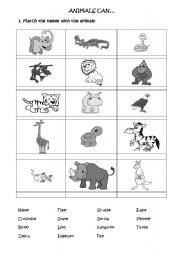 English worksheet: JUNGLE ANIMALS