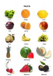 English Worksheet: FRUITS