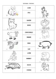 Exercises for animals