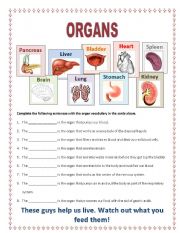 English Worksheet: Organs