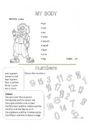 English Worksheet: MY BODY- NUMBERS