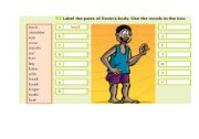 English Worksheet: Human body
