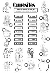 English Worksheet: opposites