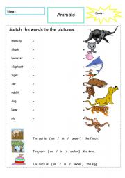 English worksheets: Animal words and picture matching