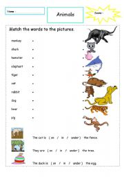 English worksheet: Animal words and picture matching