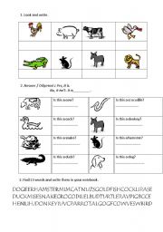 English worksheet: Animals