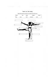 English Worksheet: Body parts