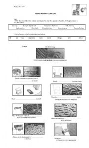 English Worksheet: PASSIVE VOICE FUTURE- VIDEO ACTIVITY