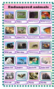 English Worksheet: endangered animals