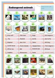 English Worksheet: endangered animals: matching 