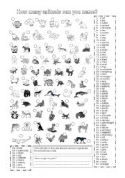 English Worksheet: how many animals can you name?