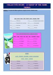 English worksheet: Collective Nouns