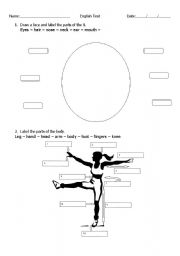 English worksheet: Parts of the body