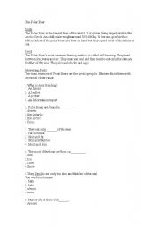 English Worksheet: Comprehension/ polar bear