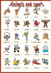 English Worksheet: Animals and sport