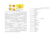 English Worksheet: My crazy summer holiday - fun activity