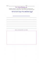 English Worksheet: Birds
