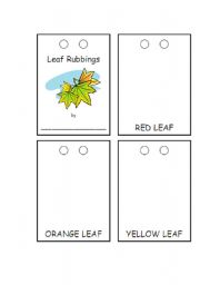 English worksheet: Color the Leaves