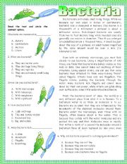 English Worksheet: Reading comprehension-Bacteria