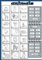 English Worksheet: animals (6)