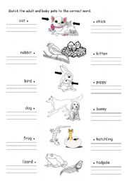 English Worksheet: pets