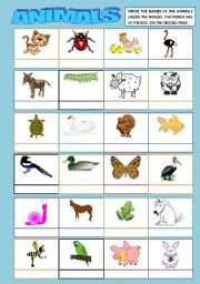 ANIMALS MATCHING (words 2nd. page)