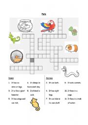 English Worksheet: Pets Crossword