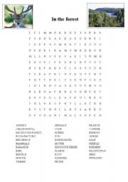 English worksheet: In the forest, wordsearch