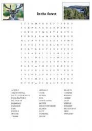 English Worksheet: In the forest, wordsearch