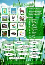 English Worksheet: Animal sounds in English matching : 2 activities.