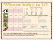 English Worksheet: Animal babies