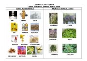 English Worksheet: THINGS TO EAT & DRINK. SPICES, CONDIMENTS & AROMATIC HERBS