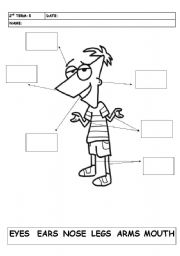 English Worksheet: CUT AND PASTE PHINEAS BODY PARTS.