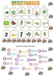 English Worksheet: Vegetables matching