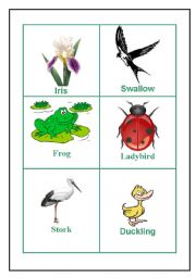 English Worksheet: Spring   12 picture cards  set nr 2