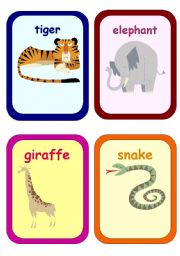 wild animals flashcards