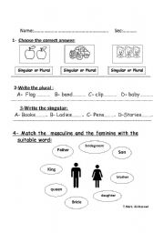 English worksheet: singular and plural masculine and feminine