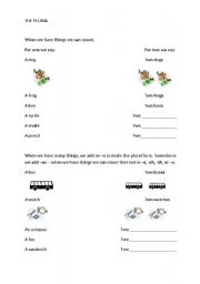 English Worksheet: The Plural