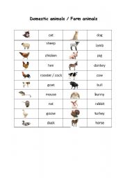 English worksheet: domestic animals