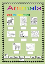 English worksheet: ANIMALS- cut and glue
