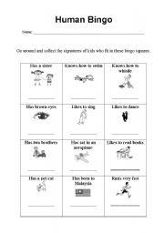 English Worksheet: human bingo