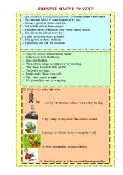 English Worksheet: Present Simple Rassive